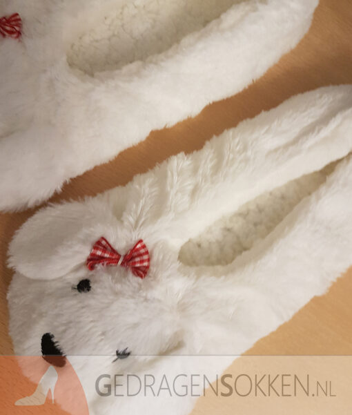Gedragen hondjes pantoffels - Afbeelding 2