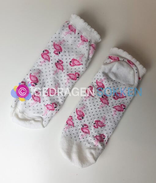 Gedragen sneakersokjes - flamingos